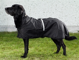 Back on Track regndækken til hund uden fyld